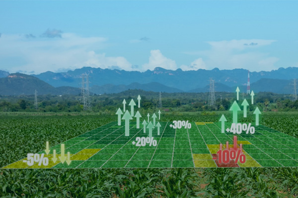 data-agricole-600x400