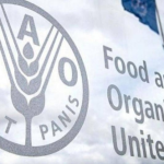 Réunion de travail pour le lancement de la LOA Pôle Digital-FAO