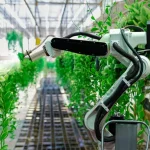 SIAM. Comment le ministère de l'Agriculture va encourager la digitalisation et l'entrepreneuriat - Médias24